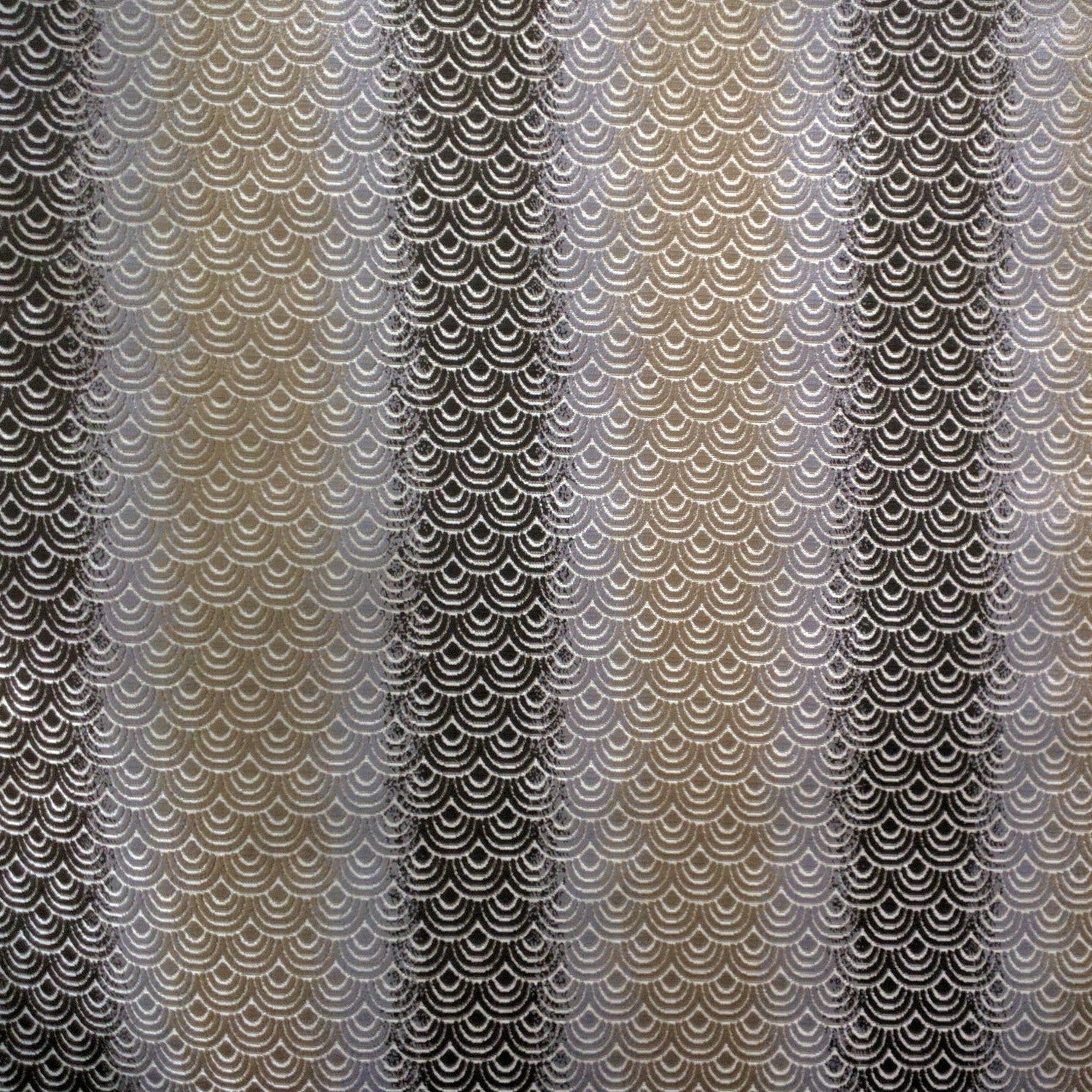 AMPHITRITE - Brown, multi-color