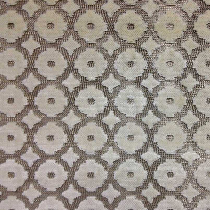 ASHMONT - Tan