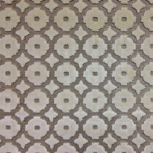 ASHMONT - Tan