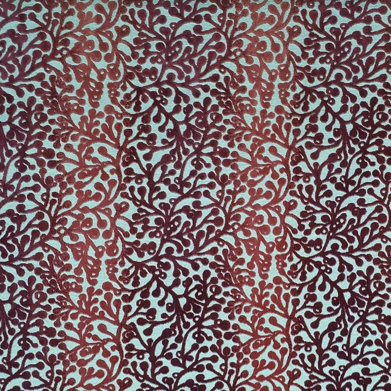 CHINABERRY - Pink. Red
