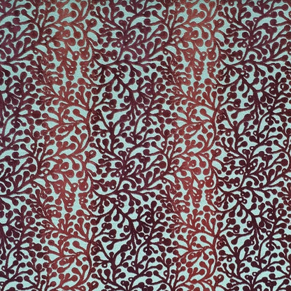 CHINABERRY - Pink. Red
