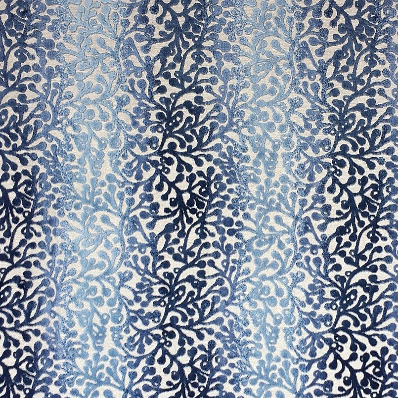 CHINABERRY - Blue