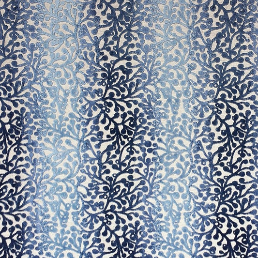 CHINABERRY - Blue