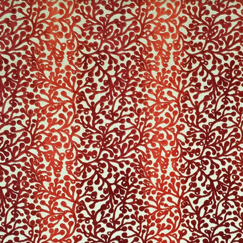 CHINABERRY - Orange