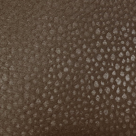 COLIBRI - Brown
