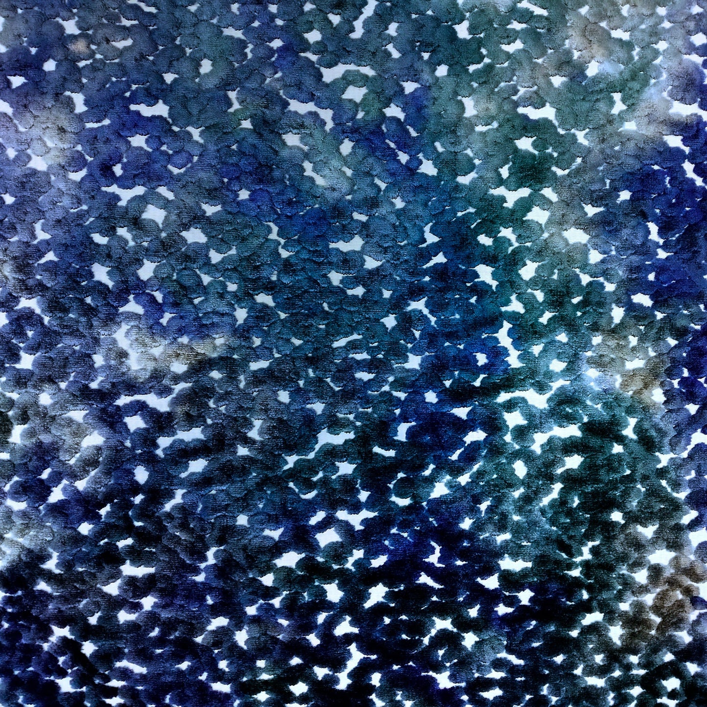 Pomona - Blue