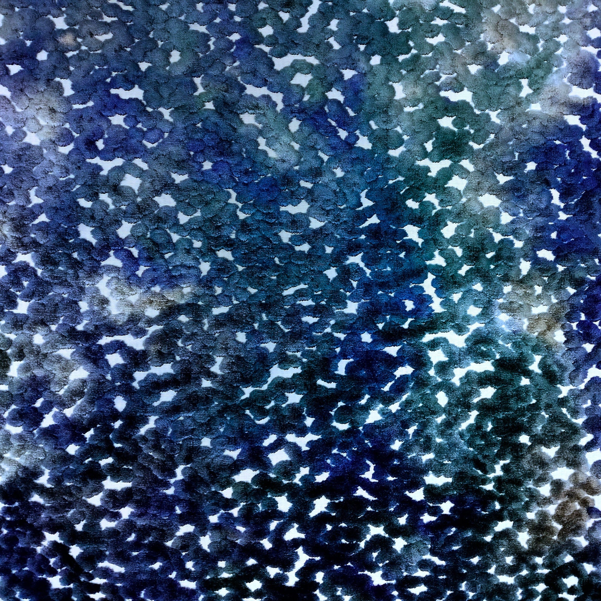 Pomona - Blue