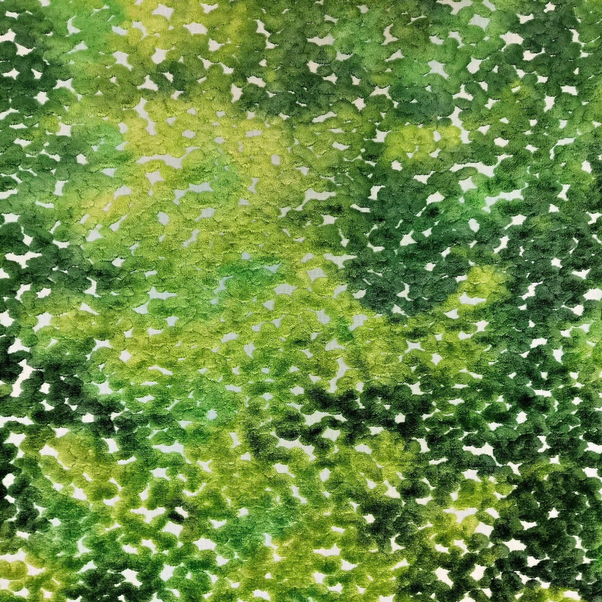 Pomona - Green