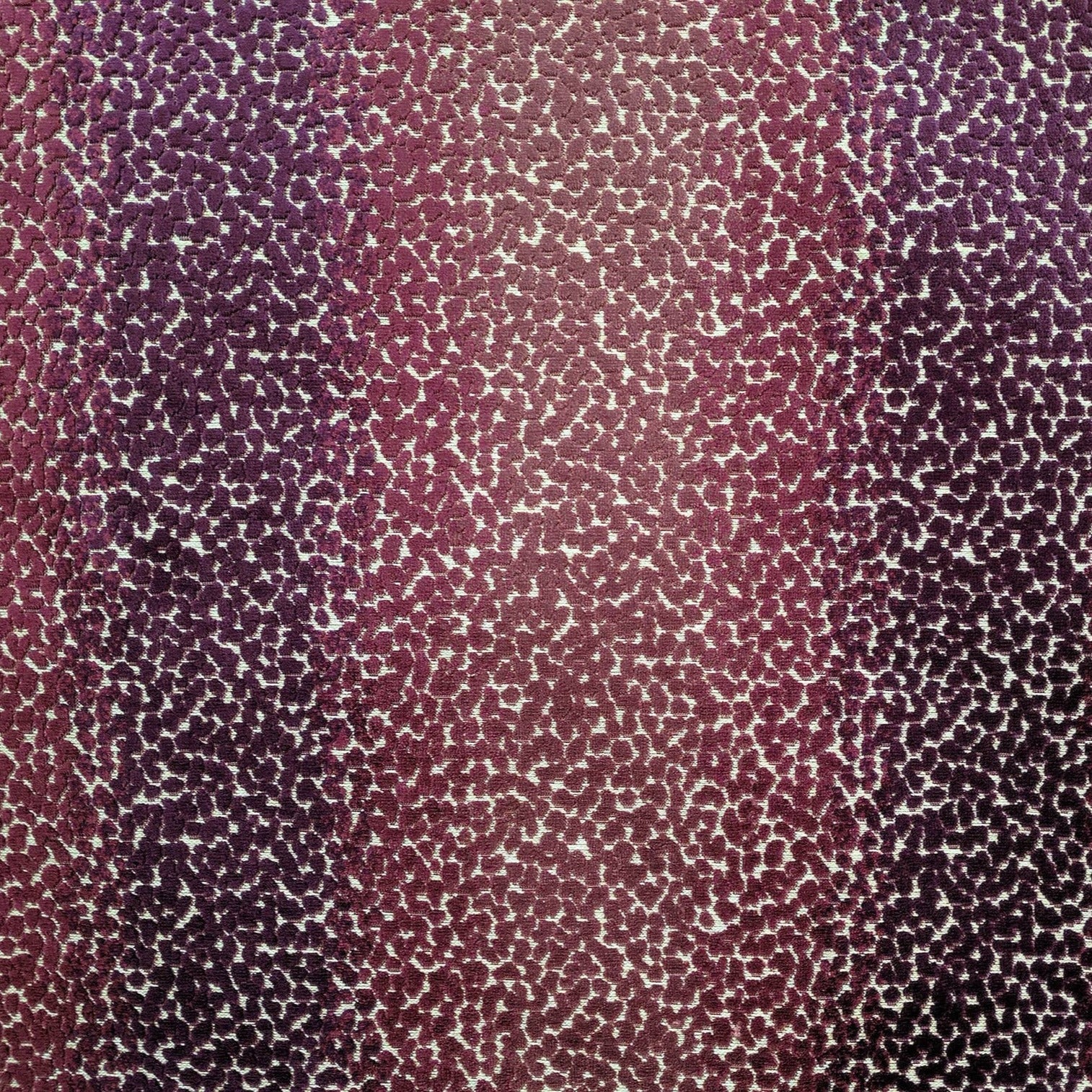 Evangeline - Red, Purple, Ombre, Multi color, Pink, Multi-Color