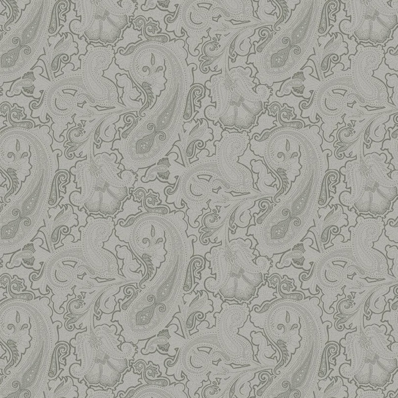 GANDARA - Gray, silver