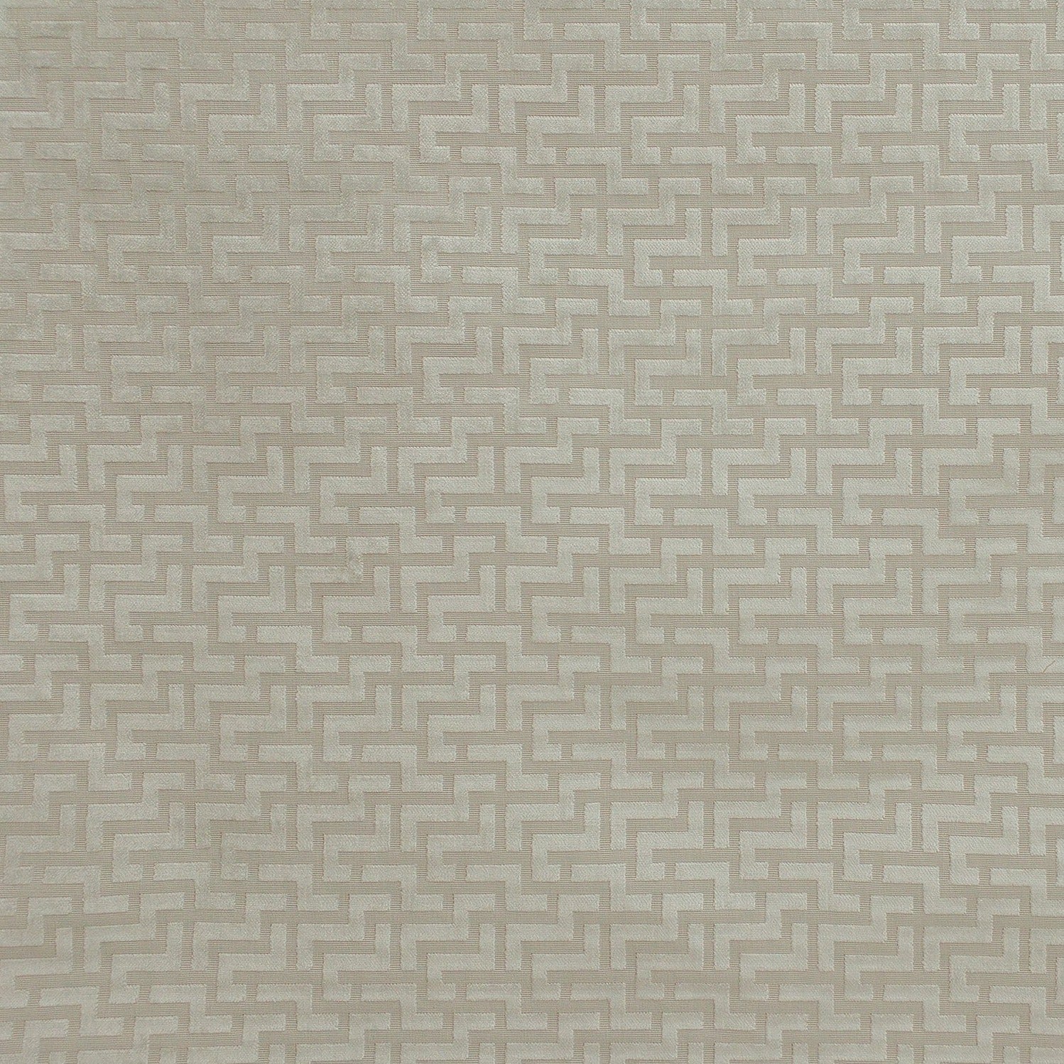 Odeon - Tan, Champagne