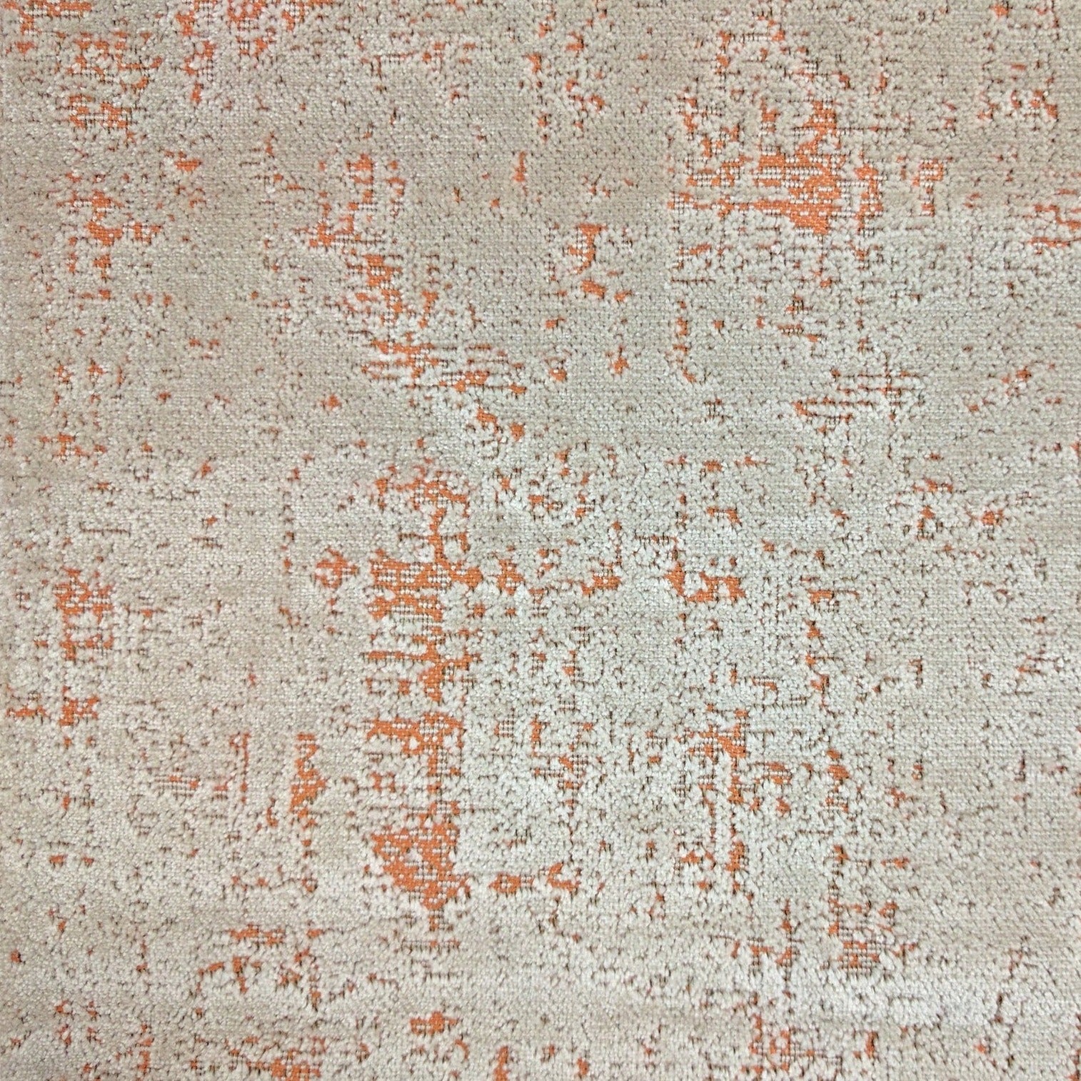 Olivia, Orange