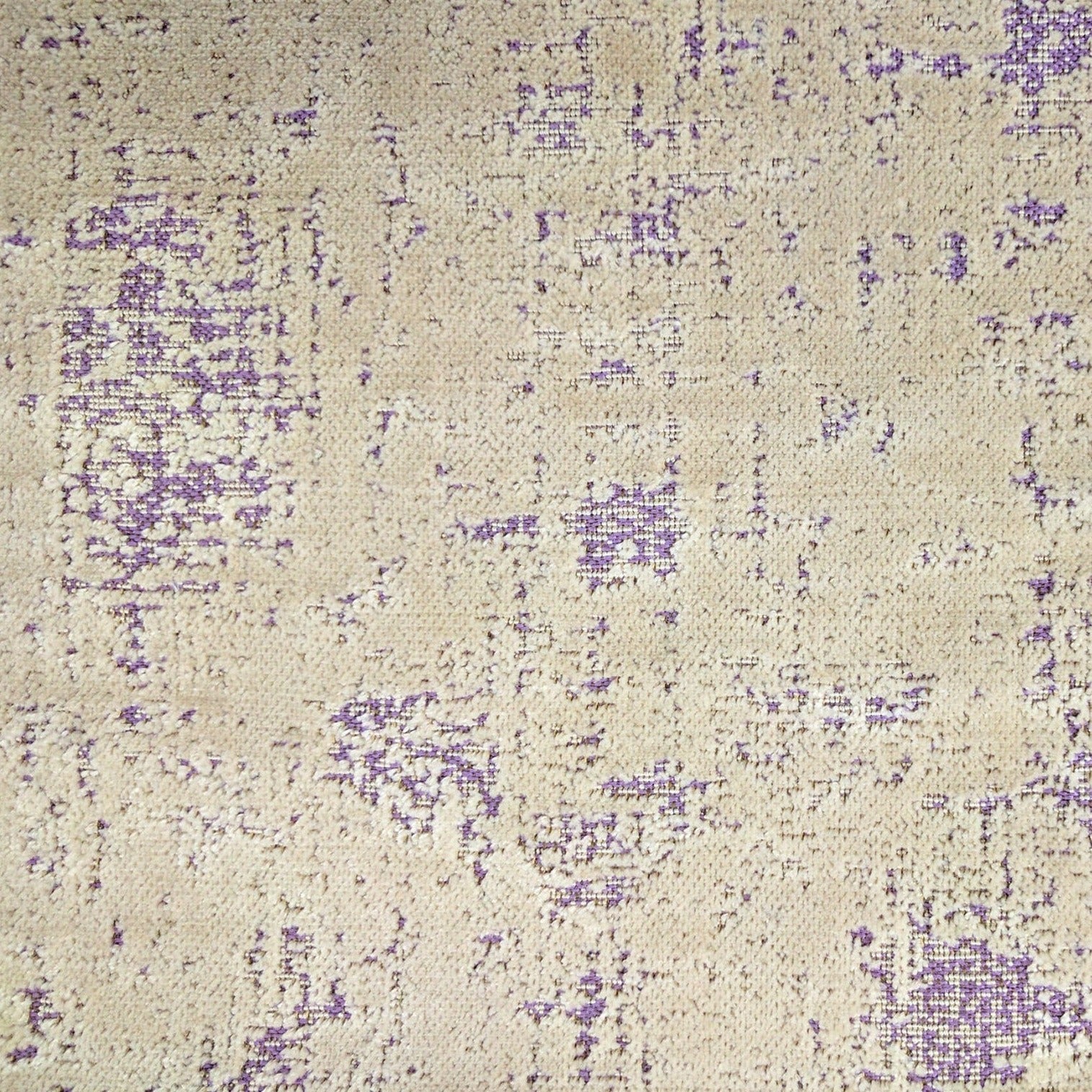 Olivia, Purple