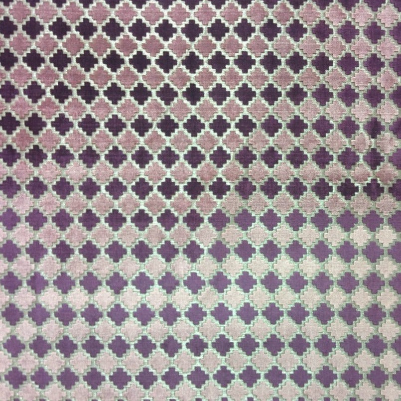SENECA - Purple