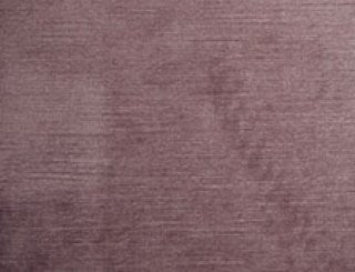 STARDUST - Purple
